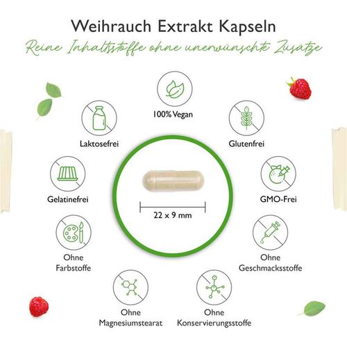 Vit4ever Weihrauch Extrakt 1000 - 85% Boswellia-Säure 365 Kapseln