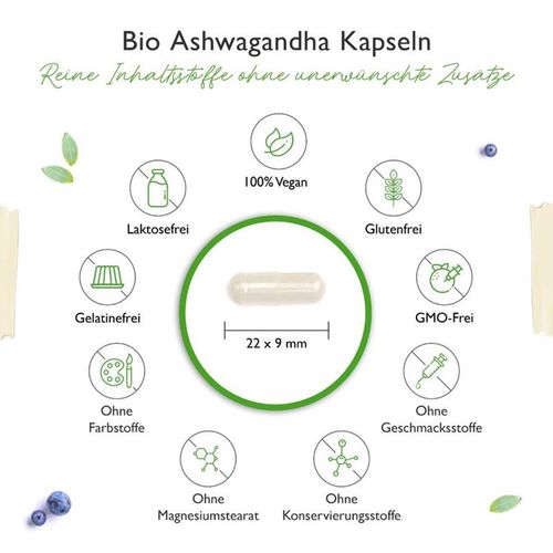 Vit4ever Bio Ashwagandha 365 Kapseln