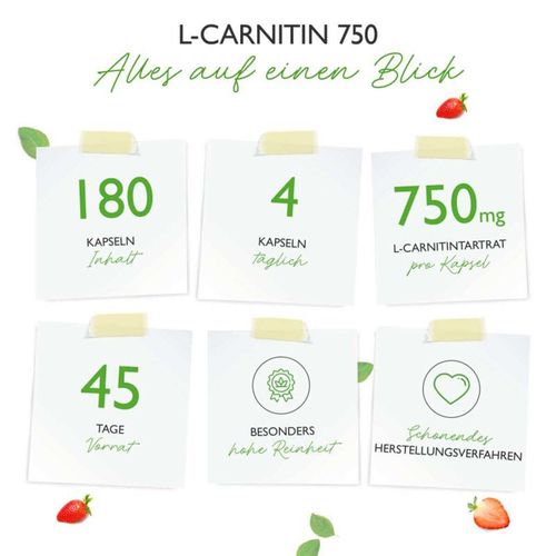 Vit4ever L-Carnitin 180 Kapseln